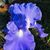 Carmellitta White Capooth's profile image