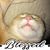 Nikki Morris's profile image