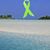 Kinsey Smith McCullough's profile image