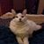 Merri Kirby's profile image