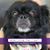 Dorothea Dottie Tayah Bunch's profile image