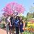 Evelyn Calso Liberato's profile image