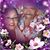 Violeta Centeno-Medeiros's profile image