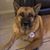 Hector Montes's profile image
