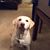 Joanne Thompson's profile image
