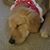 Jennifer Todd's profile image