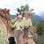 DIane Axler Baum's profile image