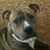 Elizabeth Richards's profile image