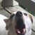 Mike Crosby's profile image