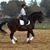 Stacie Campuzano's profile image