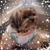 Debra Arco's profile image