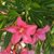 Lesley Marsh's profile image