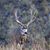 Bill Cowling's profile image