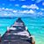 DeeAnn Johnson Ritter's profile image