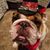 Jamie L. Kelly-Frye's profile image