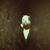 Ben Robison-asep's profile image