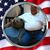 Don Vandrell's profile image