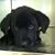Donna Braswell's profile image