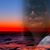 Dawn Waites's profile image