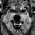 John Evans's profile image