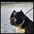 Eric Windham's profile image