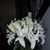 Kathy Rocha-Huwyler's profile image