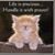 Helen Mason's profile image