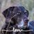 D Christopher Miller's profile image