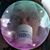 Nina DeVito Miller's profile image