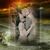 Ashley Campbell's profile image
