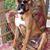 Colleen Scott Morris's profile image