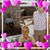 Marcos Antonio Ch's profile image