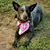 Amy Torrence's profile image