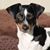 Winston Cloninger's profile image
