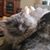 Scott McCollough's profile image