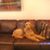 Victoria Southerland's profile image