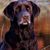 Tracy Harper's profile image