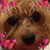 Jan Jackson's profile image