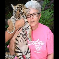 Susan Grosso's profile image
