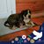 Delaine Presley Naquin's profile image