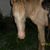 Mary Young's profile image