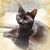 Becky Hutsenpiller's profile image