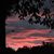 Michelle Amaddio Davis's profile image