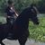 Lynne Nickeson's profile image