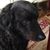 Pat Reyburn's profile image