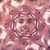 Haden Cripps's profile image