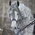 Linda Forristall Jensen's profile image
