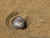 kunu q.'s profile image
