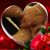 Rendi Conn's profile image