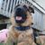 Grace Catlin's profile image
